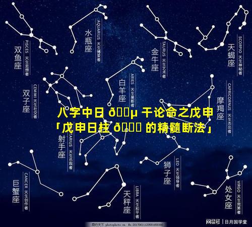 八字中日 🌵 干论命之戊申「戊申日柱 🐟 的精髓断法」